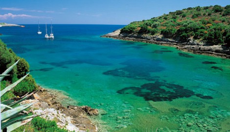 Ansedonia, Giannutri